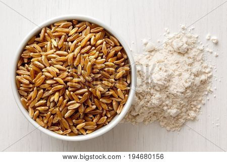 Kamut Wheat Kernels