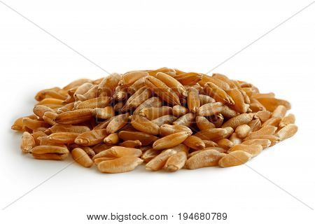 Heap Of Kamut Wheat Kernels