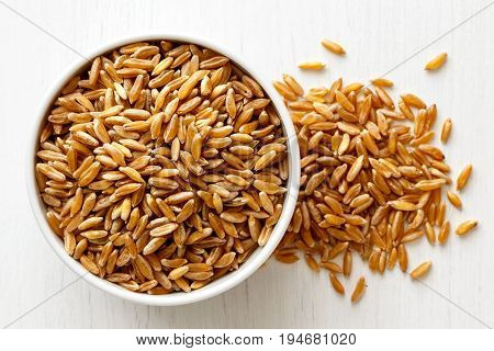 Kamut Wheat Kernels