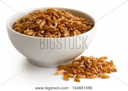 Kamut Wheat Kernels