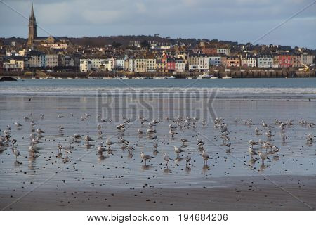 Ris beach and city and harbor of Douarnenez