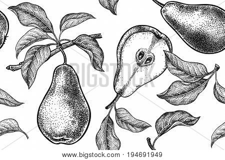 Seamless pattern. Realistic fruit branch and pear tree leaf. Black and white vegetarian food. Vector illustration art. Vintage engraving. Hand drawing. Template with nature motifs for kitchen design.