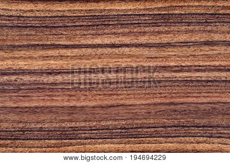 Texture of brown palisander wood background veneer.