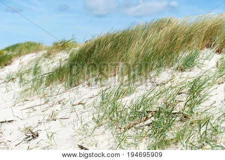 Baltic sea
