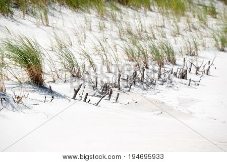Baltic sea