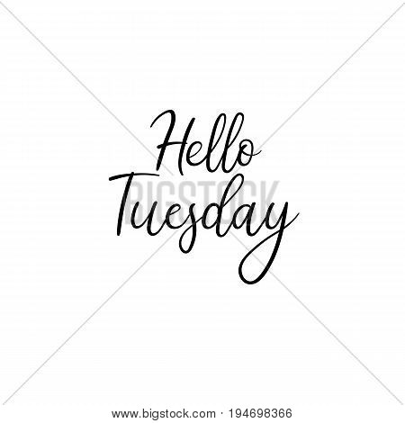 Hello Tuesday calligraphy inscription. Weekly greeting card, postcard, card, postcard, invitation, banner template. Vector brush calligraphy. Hand lettering typography.