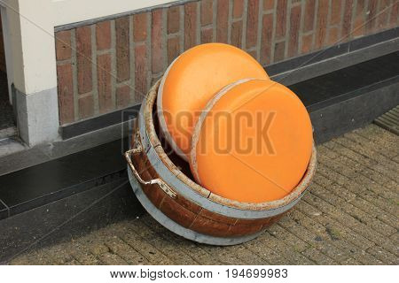 Big Dutch cheese on display in a store