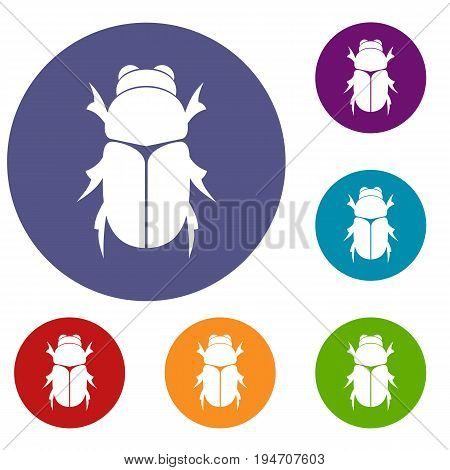 Chafer beetle icons set in flat circle reb, blue and green color for web