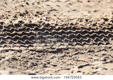 trace of the tire tread . A photo