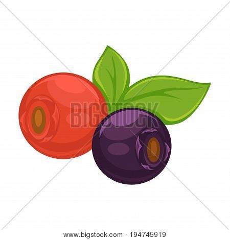 Wild ripe dog-rose with leaves and sweet healthy blueberry isolated vector illustration on white background. Cartoon small delicious berries that grow on bushes full of vitamins and natural juice.