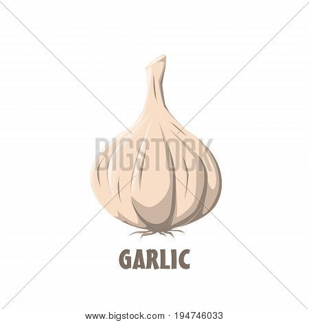 Logo Garlic vector farm design raw symbol