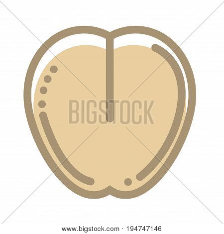 Healthy organic buckwheat seed isolated flat outline vector illustration on white background. Nutritious natural food for tasty and wholesome breakfasts. Cereal for delicious porridge cooking.