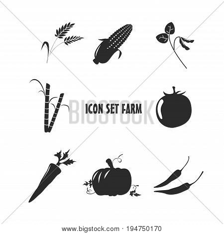 Icon Set Farm design web symbol fruit vegetable