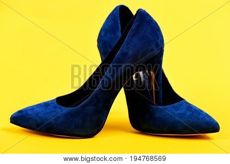 Shoes In Dark Blue Color. Pair Of Formal Female Shoes