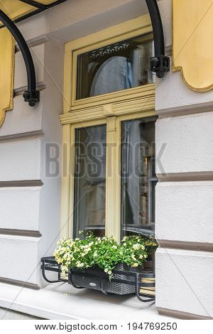 Front view window decorated flowerpot with flowers