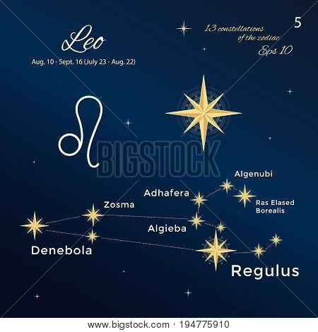 Leo. High detailed vector illustration. 13 constellations of the zodiac with titles and proper names for stars. Brand-new astrological dates and signs. Vintage style