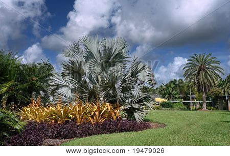 Fairchild tropiske botaniske have, FL, USA