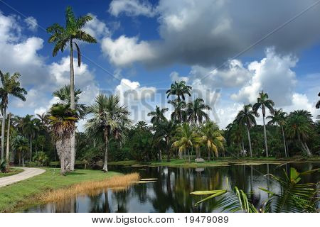 Fairchild tropiske botaniske have, FL, USA