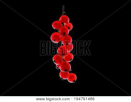 Close-up beautiful red currant on black background. Juicy and fresh red currant on black background. A ripe juicy fruits and berries on a black background. Fresh currants close-up.