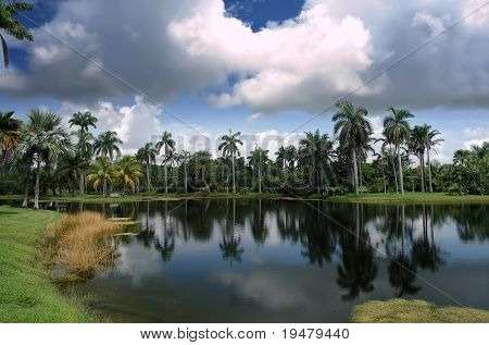 Fairchild tropiske botaniske have, FL, USA