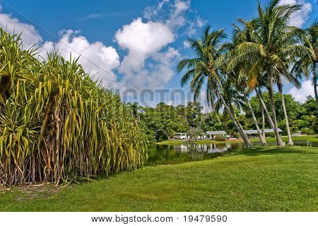 Fairchild tropiske botaniske have, FL, USA
