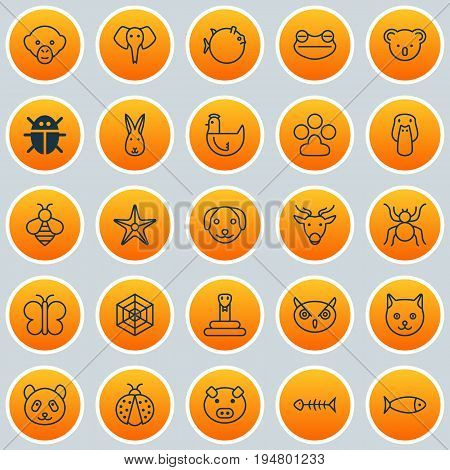 Zoo Icons Set. Collection Of Seafood Skeleton, Piglet, Toad And Other Elements. Also Includes Symbols Such As Mallard, Reindeer, Monkey.