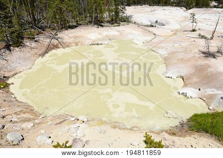 Sulphur Caldron, Yellowstone National Park, is at the edge of one of the most active areas of the parks buried volcano, filling the caldron with sulfuric acid.