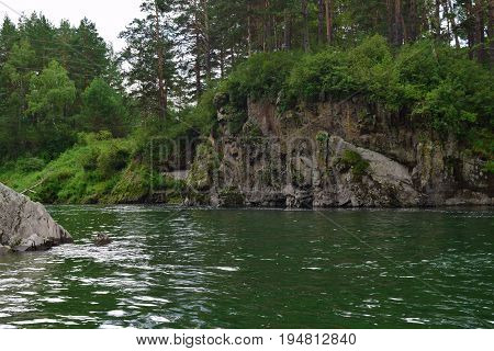 Green stream of Chemal river in Altai mountains. Chemal Altai Republic Siberia Russia