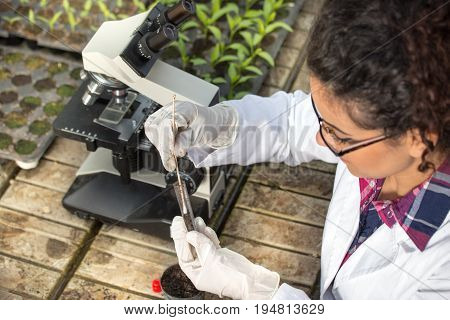 Biologist Experimenting With Soil And Sprouts