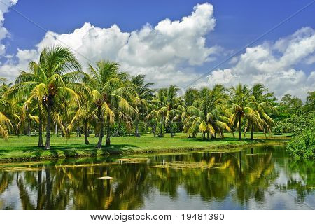 Fairchild tropická botanická zahrada, FL, Spojené státy americké