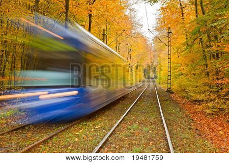 Ferrocarril en el bosque de otoño