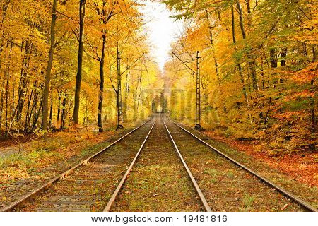 Ferrocarril en el bosque de otoño