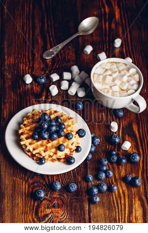 Homemade Waffles on Plate with Fresh Blueberry and Cup of Hot Cocoa with Marshmallow. Vertical orientation.