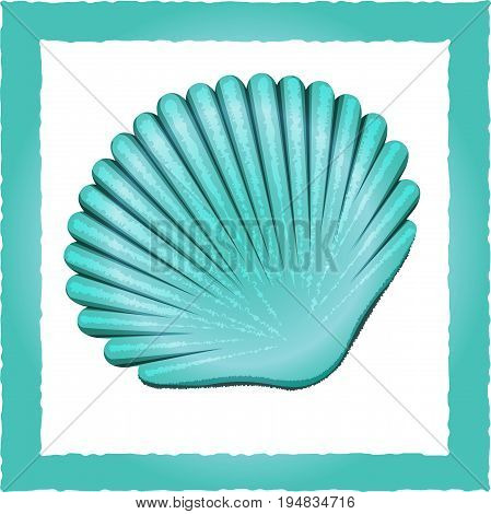 Vector image sea shell on white background