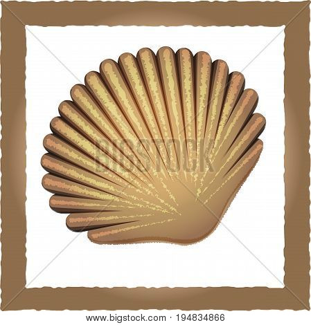 Vector image brown seashell on white background