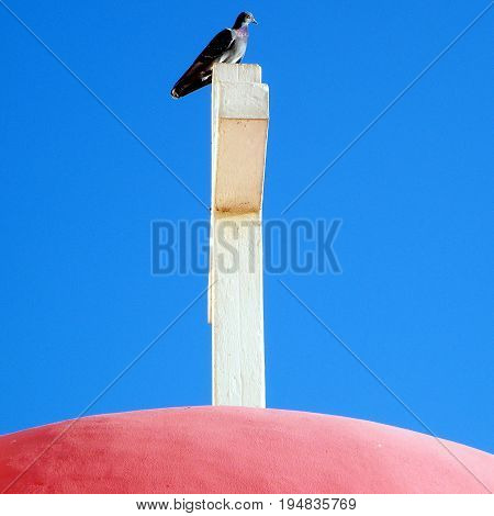 Dove on the cross of Greek Orthodox Church in Kapernaum Israel