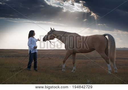 Woman training horse in the steppe during sunset