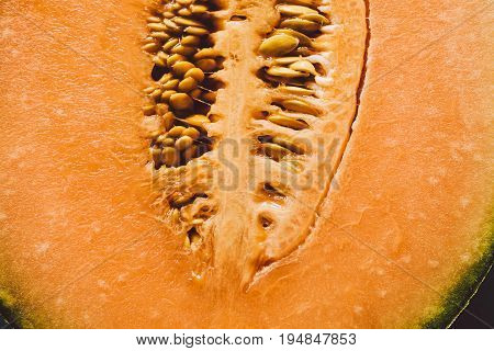 Melon seeds background and texture. Close up view of melon cut in a half with seeds. Organic texture and background. Fresh fruit. Macro view of melon surface. Melon texture. Healthy food.