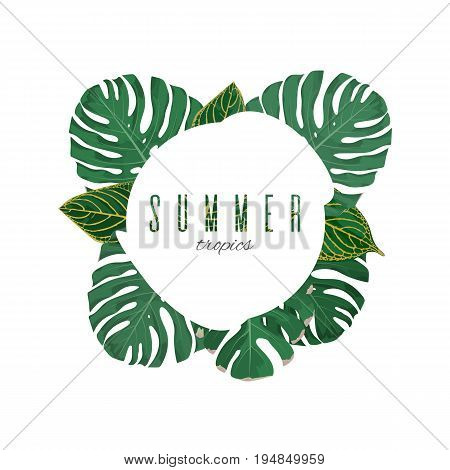 Tropical Summer Background
