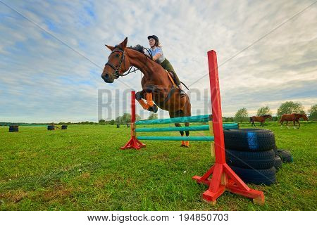 Pretty young girl jockey and her horse jumper