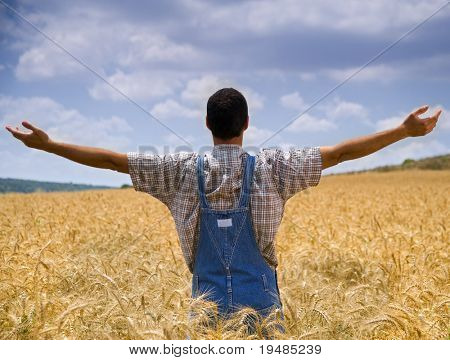 farmář stojící v pšeničné pole s rukama napřaženýma
