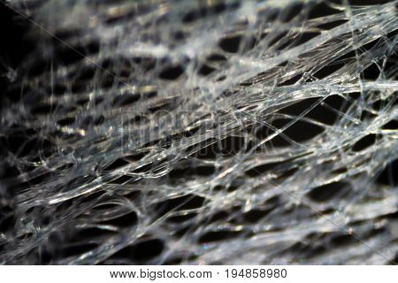 Wet Wipe Fabric Under The Microscope