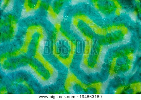 Abstract Green Pattern Fabric Texture On Israeli Money Bill Of 50 Shekel Under The Microscope