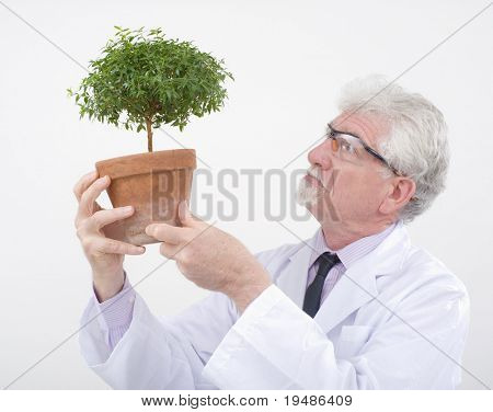 küçük saksı ağaç tutan kıdemli bilim adamı