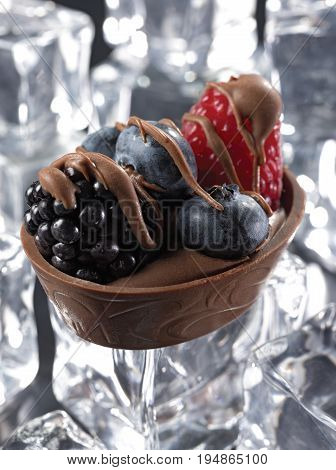 Chocolate Dessert with Mixed Berries and Chocolate Drizzle