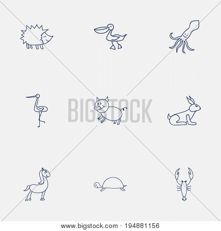Set Of 9 Editable Zoo Icons. Includes Symbols Such As Tortoise, Shadoof, Tentacle And More. Can Be Used For Web, Mobile, UI And Infographic Design.