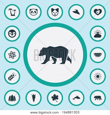 Vector Illustration Set Of Simple Geo Icons. Elements Jungle, Polar Bear, Grampus And Other Synonyms Polar, Dog And Woods.