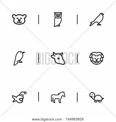 Set Of 9 Editable Animal Icons. Includes Symbols Such As Steed, Lion, Buffalo And More. Can Be Used For Web, Mobile, UI And Infographic Design.