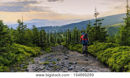 Mountain biker riding on bike in summer mountains forest landscape. Man cycling MTB flow trail track. Outdoor sport activity.