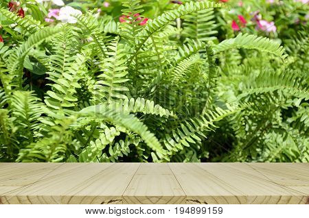 Perspective Wood Window Display With Green Garden Background.